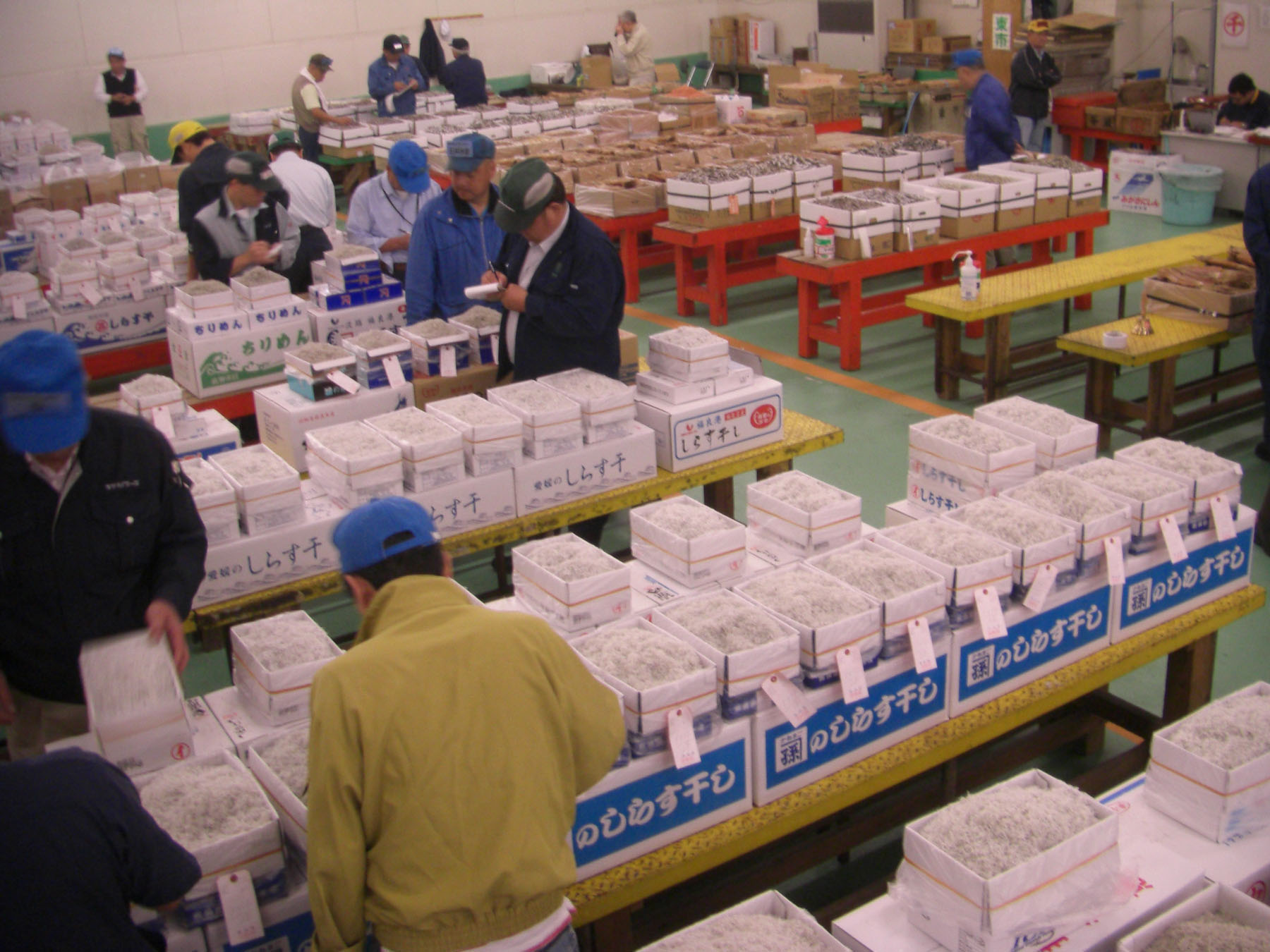 築地市場のしらす競り場