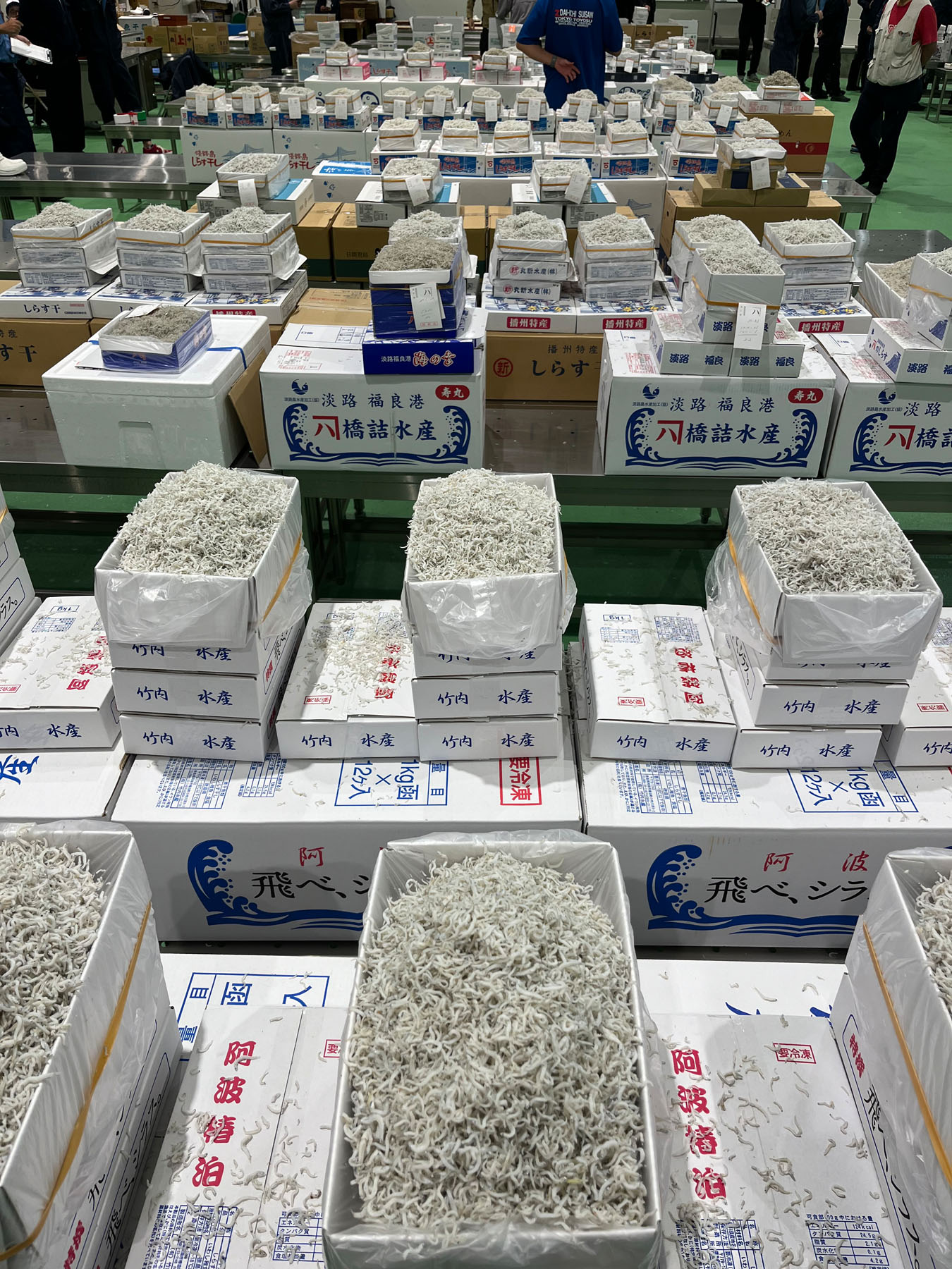 豊洲市場の朝の売場